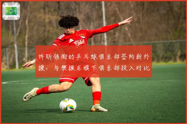 许昕领衔的乒乓球俱乐部签约新外援,与樊振东旗下俱乐部投入对比悬殊