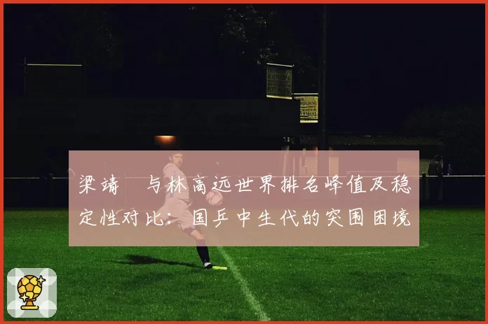 梁靖崑与林高远世界排名峰值及稳定性对比:国乒中生代的突围困境